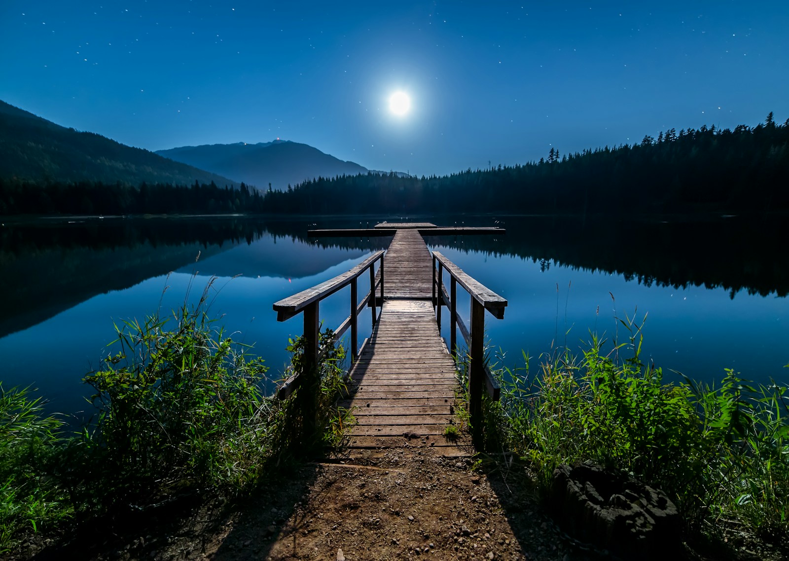 brown wooden dock near lake surrounded with tall trees